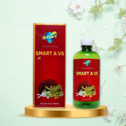 Smart A V5